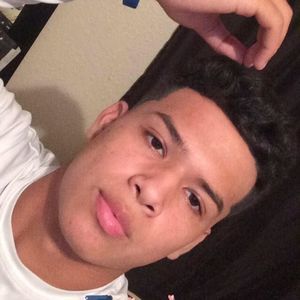 Meet your Posher, Frank